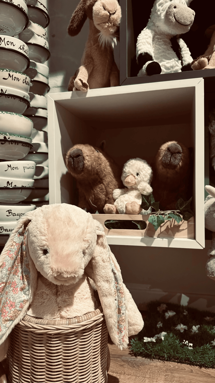 Boutique de peluches Bayonne