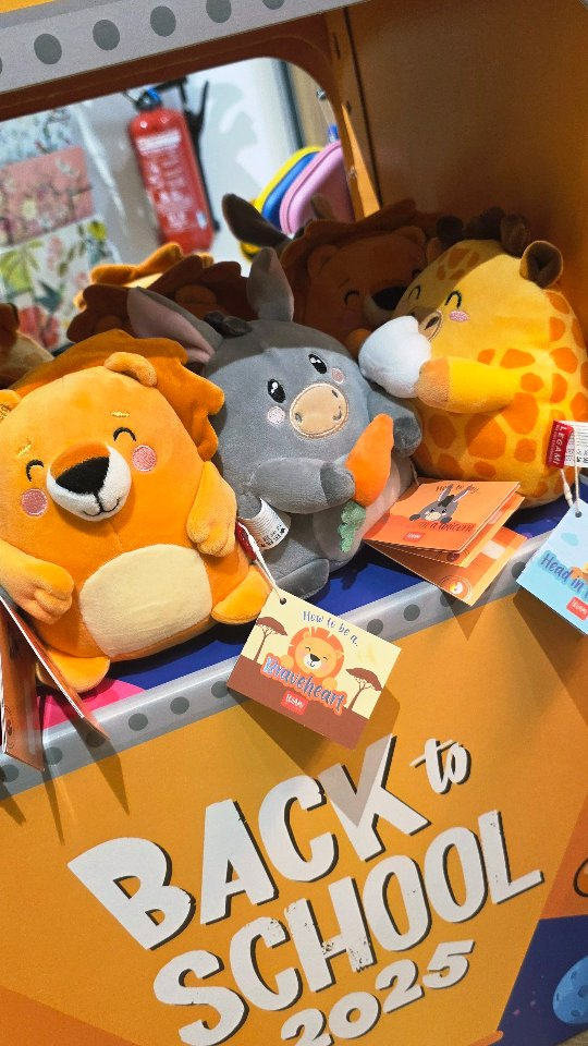 Magasin de jouets pour enfants Bayonne