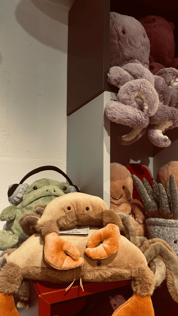 Peluches d'animaux Bayonne